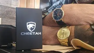 REVIEW: Cheetah Gold & Blue Watches! (AMAZON FINDS)