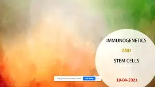 Molecular Stem Immunogenetics
