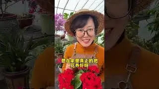 Never use these little tips for growing flowers#Growing flowers#Agriculture rural area