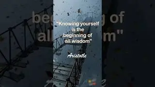 Aristotle quotes#arastu