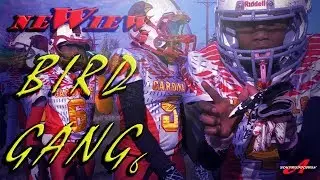 NEWIEW 5 BIRD GANG 6