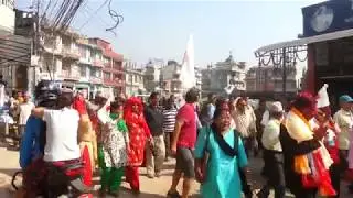 local election 2074
