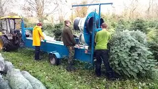 Netting Christmas Trees