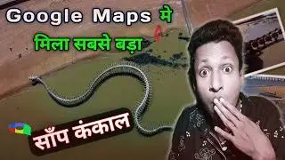 Largest Snake Skeleton Found on Google Maps ! Snake Skeleton