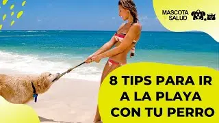 8 TIPS para ir a la Playa con Perro ☀️🌞 | Mascota y Salud
