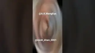 #akm#facebook#khan#salmankhan #jakir_hossain #bhia#mangli#yamaha #hajhouse @raishkhan0001