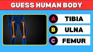 Can You Guess the Human Body Part? | Visual Anatomy Quiz Challenge! Quiz Are Fun