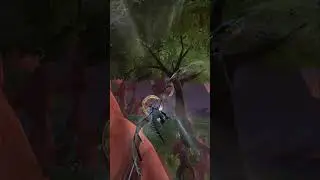 The Best of Dragonflight - Wild Preserve Circuit Advanced Gold