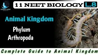 Phylum Arthropoda - Animal Kingdom Class 11 Biology Chapter - 4 | NEET /CBSE / NCERT