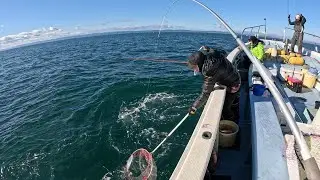 第三孔明丸　アジ釣り　いればく