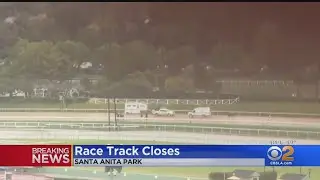 Santa Anita Racetrack Suspends Racing Indefinitely After 21st Horse Dies