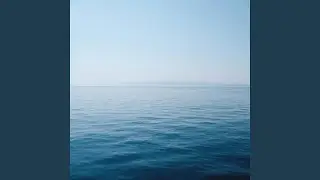 Quiet Coast