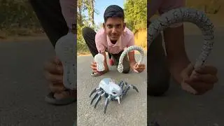 Rc snake & spider #shortvideo #shorts #shortsfeed #viralvideos #popular #snake #spider