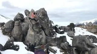 NZ extras 2019