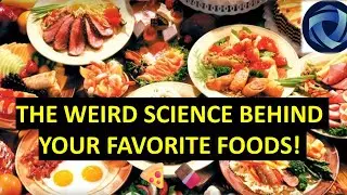 The Weird Science Behind Your Favorite Foods! 🍕🍫
