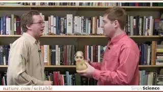 Simply Science Episode 10: Missing Link Misunderstood