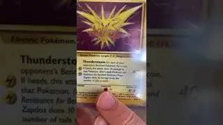 Zapdos Fossil Print Overview, Powerful Legendary Bird Pokemon