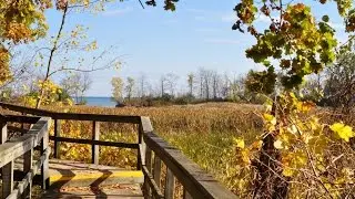 Top Tourist Attractions in Mississauga (Ontario) - Travel Guide