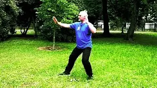 Tai Chi i Qi Gong 1 lekcja formy 13 ruchowej 2022-07-02