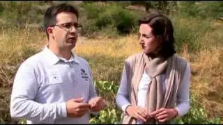 Cepas de 160 años: Visita a Atalayas de Golbán