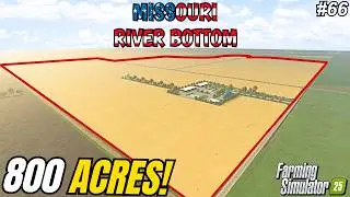 4 COMBINES vs 800 ACRES! YEAR 5 FINAL HARVEST BEGINS! | Missouri River Bottom | FS25 #66