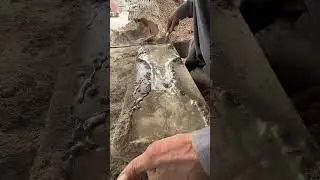 making Useful Cement Products #shorts#DIY #cementprojects#youtubeshorts #satisfying