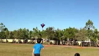 Dylan flying kite (part three)
