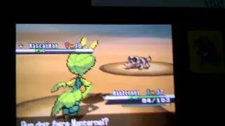 La capture de Mascaiman