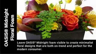 OASIS&reg; Midnight Floral Foam - Jacobson Floral Supply