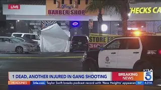 2 shot in another gang incident near South L.A. strip mall