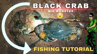 BLACK CRAB 🦀 FISHING TUTORIAL ✅ #sachidvid #fishing #crab #crabs #lake #big #crabcurry #funny #new