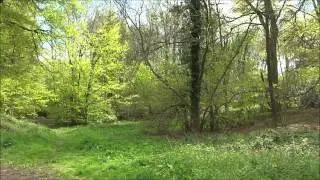 Dinedor Camp - Herefordshire