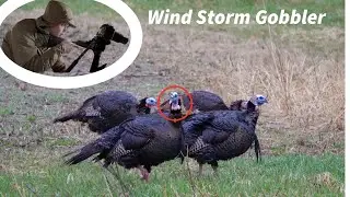 Gobblers in a Windstorm?! - Wisconsin Spring Turkey Hunt 2025
