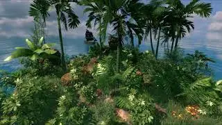 Tropical island ambience | Ocean and birds Sounds | HD