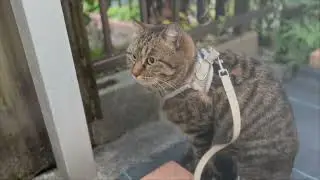 I patrol carefully 20251215