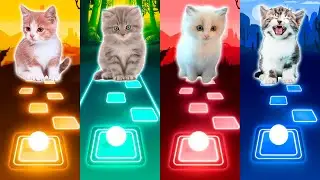 Cute Cats: Imagine Dragons (Enemy) - Sam Smith (Unholy) - BLACKPINK | Tiles Hop