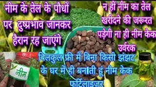 बिलकुल फ्री में बिना किसी झंझट के घर में ही बनlती हूं नीम केक फर्टिलाइजर