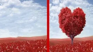 How To Remove  Photo In Photoshop