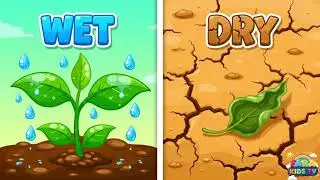 Wet and Dry for Kids!  | Learn Opposite Words | Sensory Play | FARA KIDS TV #WetAndDry #KidsLearning