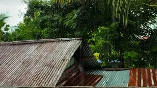 1 Hour of Rain Sounds 🌧️ Ultimate Relaxation for Sleep & Meditation