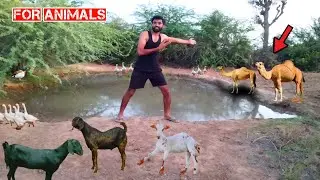Animal lover ❤️|| #animals🐕 #animation #animal #got7 ये करने के लिए जिगर चाहिए 💯🏆🪖