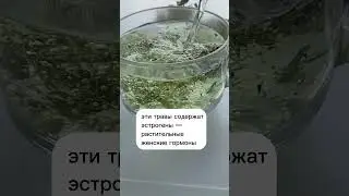 🌿Мята и душица - женский чай
