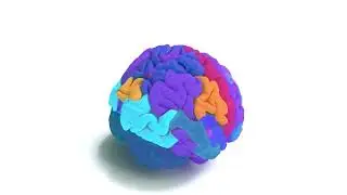 Zoom: whole whole brain to neurons