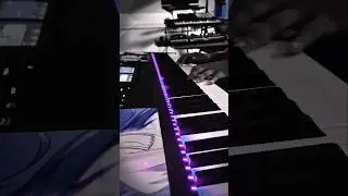Sköne - oiseau bleu (piano version)
