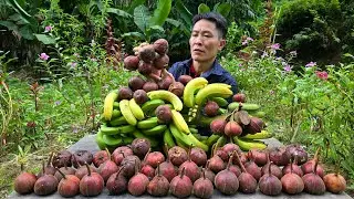 Simple Farm Life Alone: Harvesting Bananas & Wild Fruits for Market | Solo Survival