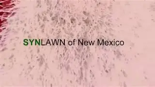 SYNLAWN of New Mexico: Examples of completed projects