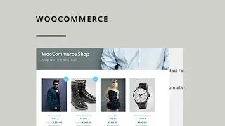 Charity Hub - Nonprofit / Fundraising WordPress Theme Free Download