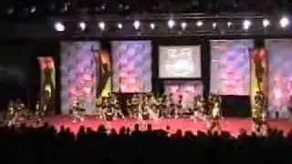 top gun small coed COA
