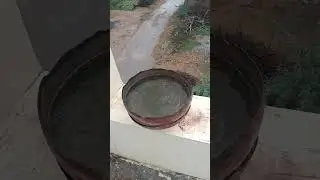 #savebirds #savewater#savetree