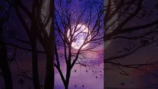 Majestic Night Radiant Moonbeams